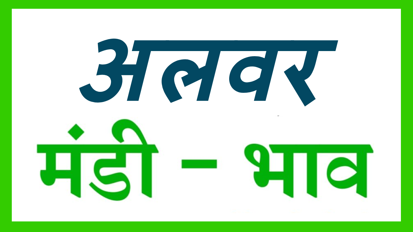 Alwar Mandi Bhav :- अलवर मंडी भाव || Today Mandi Bhav – दिनांक – 02 जनवरी 2023
