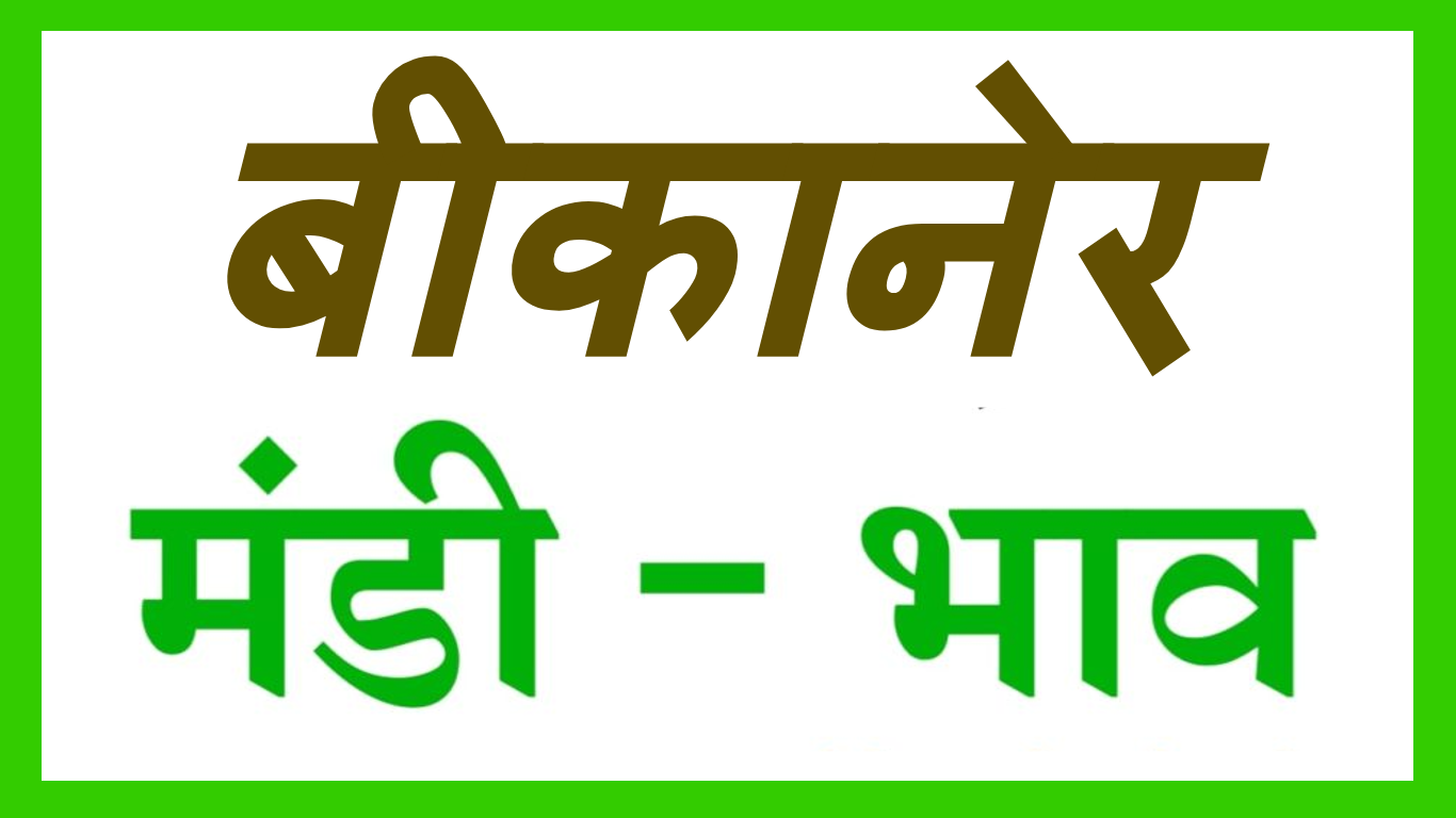 BIKANER MANDI BHAV : बीकानेर मंडी भाव : दिनांक – 15 मई 2023