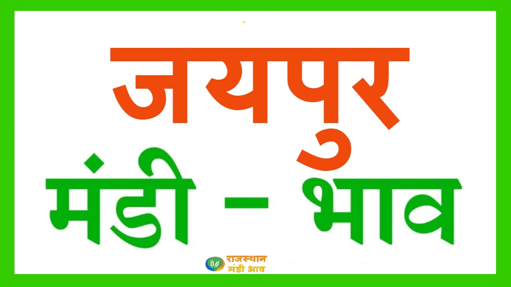 JAIPUR MANDI BHAV : जयपुर मंडी भाव : दिनांक – 19 मई 2023