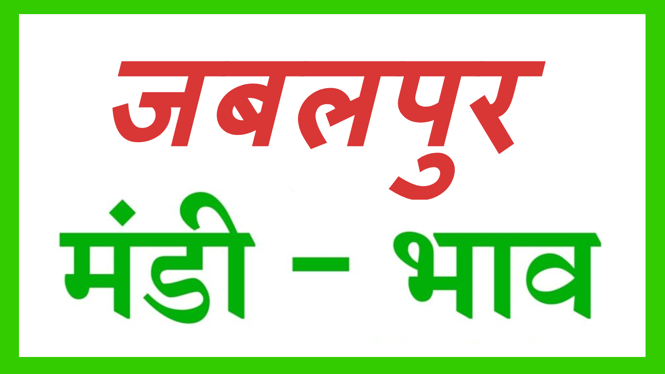 JABALPUR MANDI BHAV :- जबलपुर मंडी भाव – दिनांक – 21 फरवरी 2023
