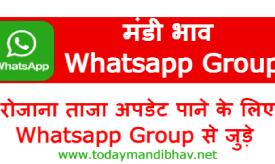 Mandi Bhav Whatsapp Group || ताजा मंडी भाव व्हाट्सएप ग्रुप || Today Mandi Whatsapp Group Join