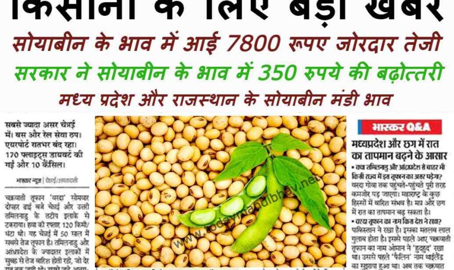 Soybean Price :- सोयाबीन के भाव में आई 7800 रूपए जोरदार तेजी, यहा देखे मध्य प्रदेश और राजस्थान के मंडी भाव
