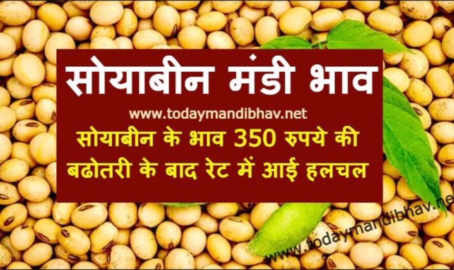 Soybean Rate :- सोयाबीन के भाव 350 रुपये की बढोतरी के बाद रेट में आई हलचल, यहा देखे आज के ताजा भाव