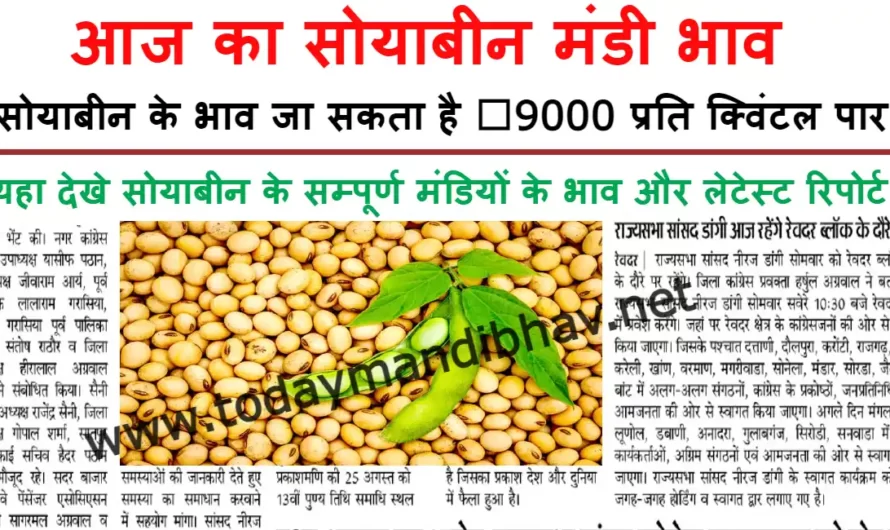 Soybean Rate :- सोयाबीन के भाव में आई हलचल, ₹9000 प्रति क्विंटल, यहा देखे प्रमुख मंडियों के ताजा भाव