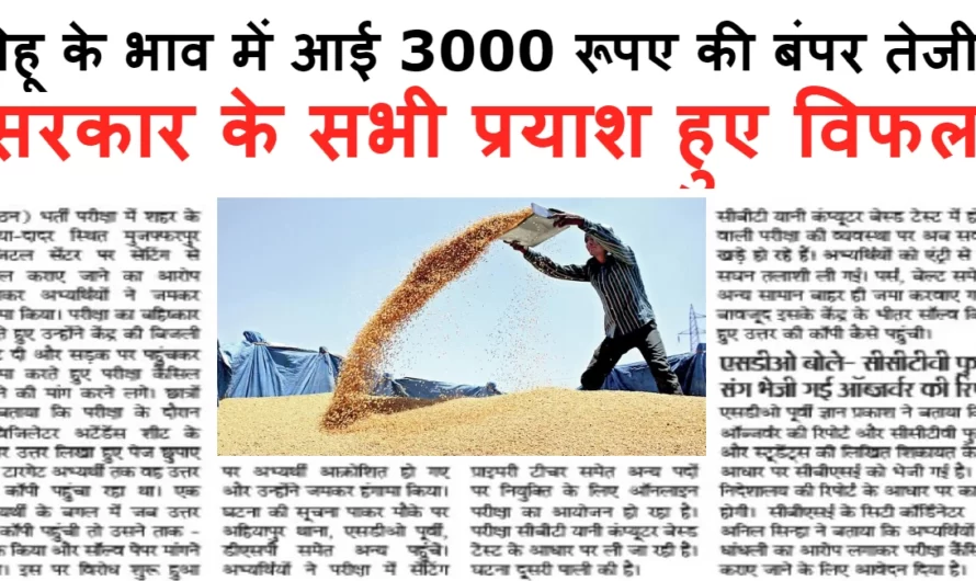 Wheat Rate :- गेहू के भाव में आई 3000 रूपए की बंपर तेजी, सरकार के सभी प्रयाश हुए विफल, यहा देखे गेहू का भविष्य