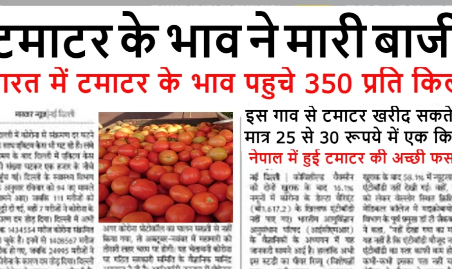 Tomato Rate :- टमाटर के भाव ने मारी बाजी, भारत में टमाटर के भाव पहुचे 350 प्रति किलो, इस गाव से टमाटर खरीद सकते है मात्र 25 से 30 रूपये में एक किलो