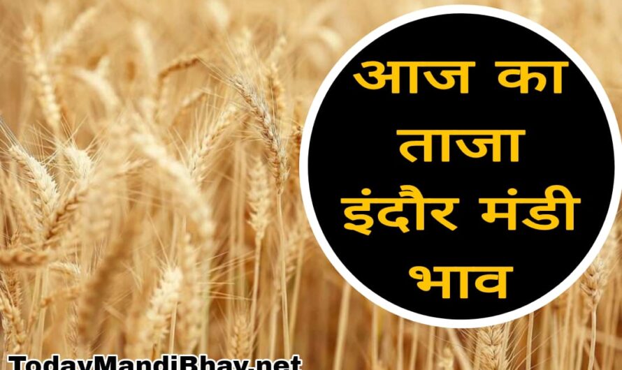Indore Mandi Taza Bhav : जानिए आज इंदौर मंडी में सभी प्रकार की फसलों और सब्जियों में ताजा भाव ,देखे आज का ताजा भाव