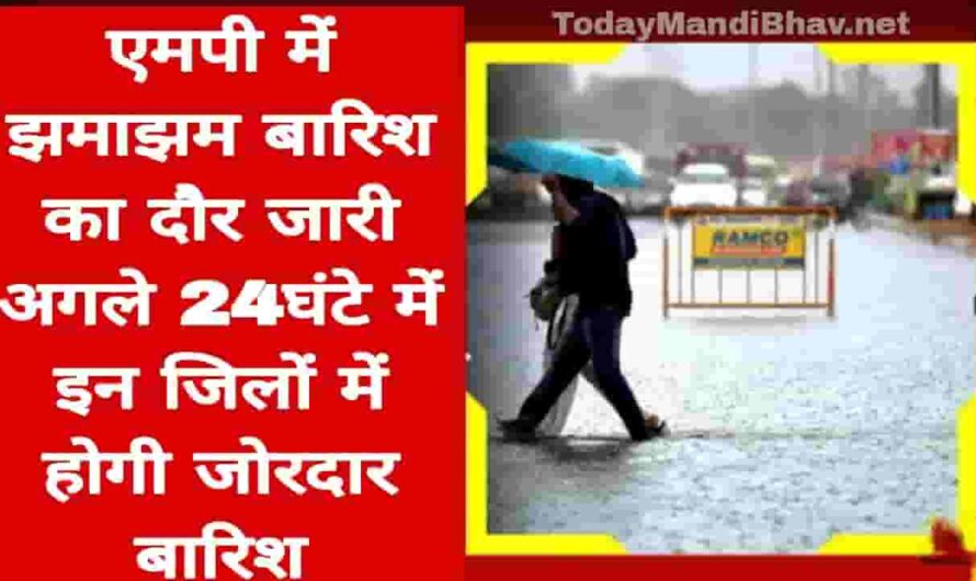 MP Weather Today : मध्यप्रदेश में झमाझम बारिश का दौर जारी,अगले 24घंटे में इन जिलों में होगी जोरदार बारिश,मौसम विभाग ने दी चेतावनी