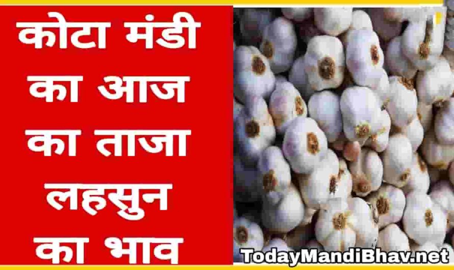 Kota Mandi Taza Bhav : राजस्थान की कोटा मंडी में लहसुन के दाम में लगातार बढ़ती तेजी, देखिए आज के कोटा मंडी के ताजा भाव