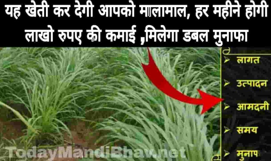 Kisan News : यह खेती कर देगी आपको मालामाल ,हर महीने होगी लाखो रुपए की कमाई ,मिलेगा डबल मुनाफा