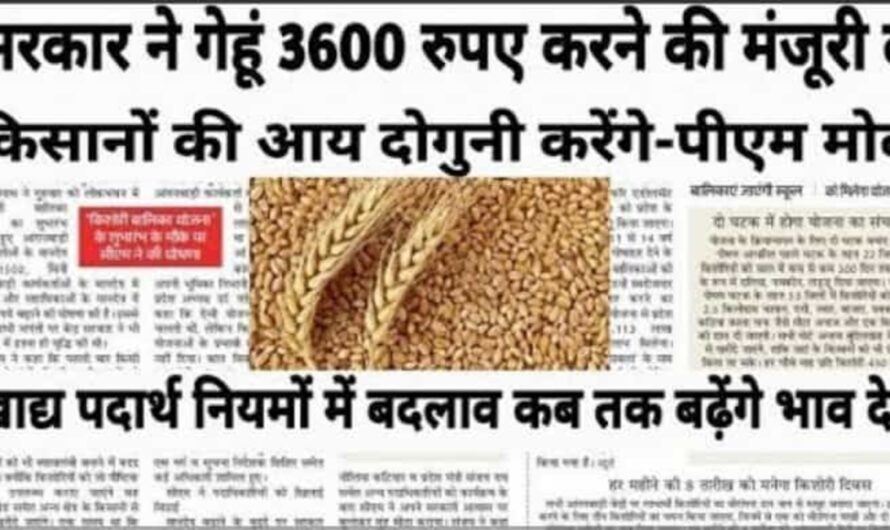 Wheat MSP Price : सरकार ने गेहूं भाव में की बडोतरी, अब किसान अपना गेहूं बेच सकते है इतने रुपए में, यहां देखे न्यूनतम समर्थन मूल्य