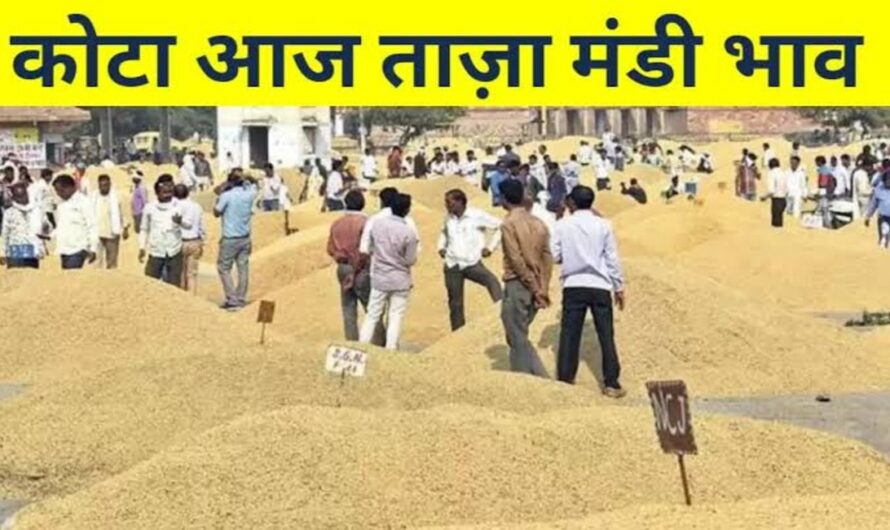 Kota Mandi Bhav : कोटा मंडी में लहसुन और धान के भाव में आई तेजी, यहां देखे सभी फसलों के ताज भाव