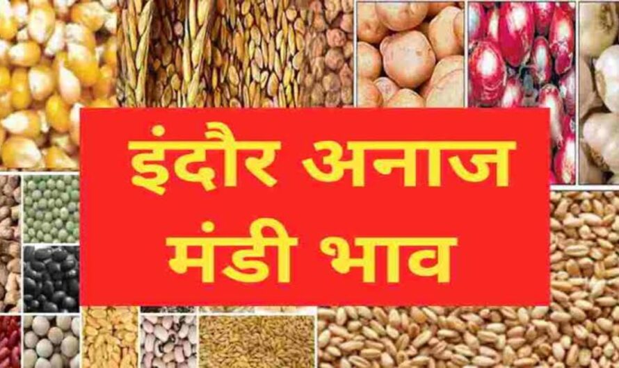 Indore Mandi Bhav : इंदौर मंडी के ताजा भाव, चने के साथ गेहूं के भाव आई हलचल, यहा देखे सभी फसलों के भाव