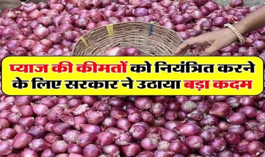 Onion Price : सरकार ने किसानों को दिया बड़ा झटका, प्याज के दाम आसमान से गिरे मुंह के बल, किसानों को हुआ बड़ा नुकसान