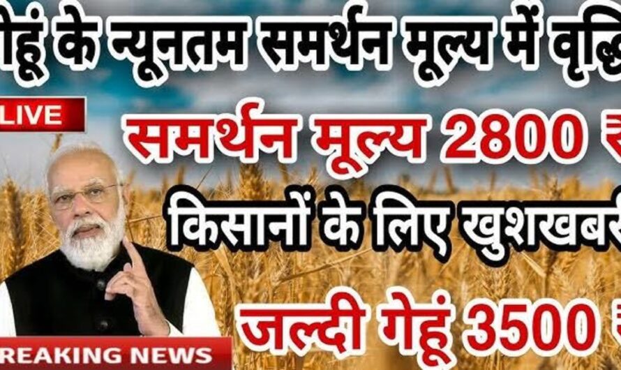 Wheat Rate : सरकार ने गेहूं को लेकर जारी किए नए नियम, अब किसानों से सरकार गेहूं खरीदेगी 2900 रुपए में, यहां देखे नए नियम
