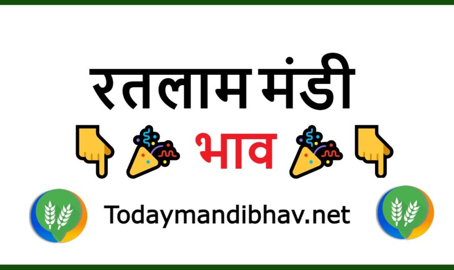 Ratlam Mandi Bhav : रतलाम मंडी में इन फसलो के भाव में आई तेजी, यहा देखे सभी भाव