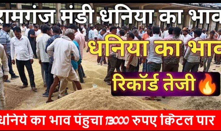 Ramganj Mandi Bhav : रामगंज मंडी में धनिये का भाव पंहुचा 13000 रुपए क्विंटल पार, यहाँ देखे सभी फसलो के ताजा भाव